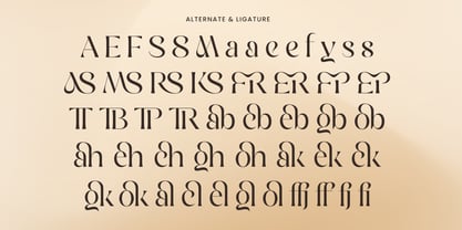 Naster Font Poster 9