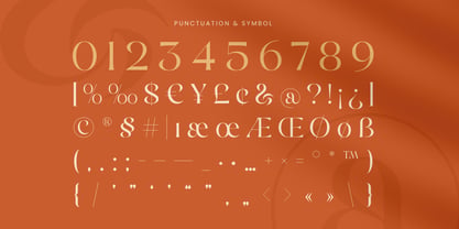 Naster Font Poster 11