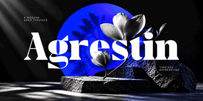 Agrestin Font Poster 1