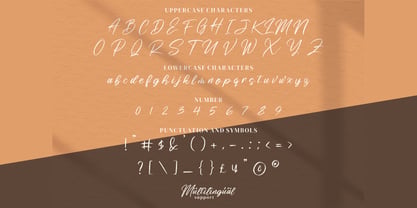 Risess Singature Font Poster 3