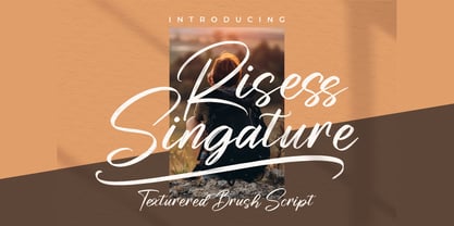 Risess Singature Font Poster 1