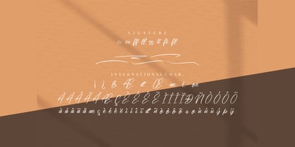 Risess Singature Font Poster 4