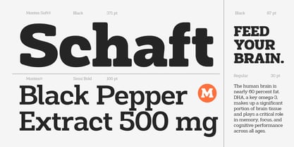 Montes Font Poster 13