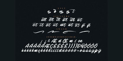 Black Raint Font Poster 9