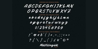 Black Raint Font Poster 8