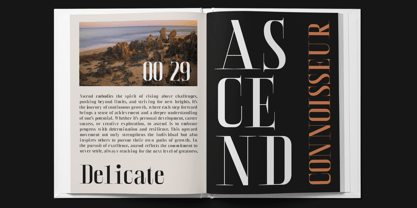 CS Kolder Font Poster 5