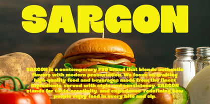Sugra Font Poster 6