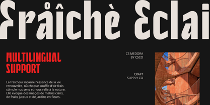 CS Medora Font Poster 3
