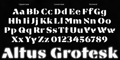 Altus Grotesk Font Poster 5