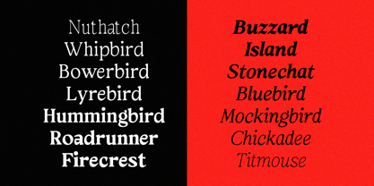 Arcanum Font Poster 7