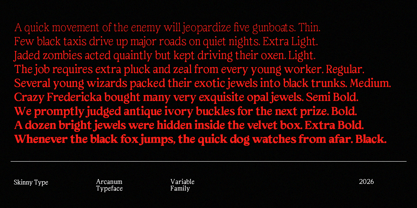 Arcanum Font Poster 10