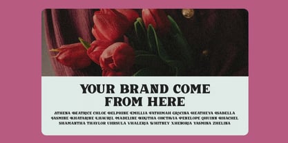 Treebud Font Poster 6