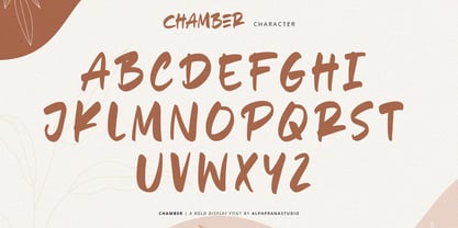 Echo Chamber Font Poster 9