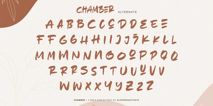 Echo Chamber Font Poster 3