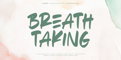 Echo Chamber Font Poster 2