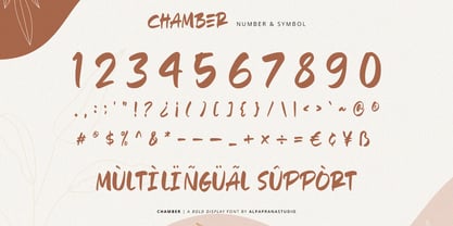 Echo Chamber Font Poster 5