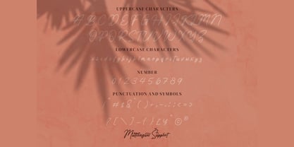 Knott Riccardo Font Poster 4