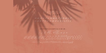 Knott Riccardo Font Poster 5