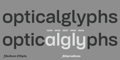 NeoGram Text Font Poster 10
