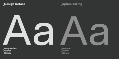 NeoGram Text Font Poster 3