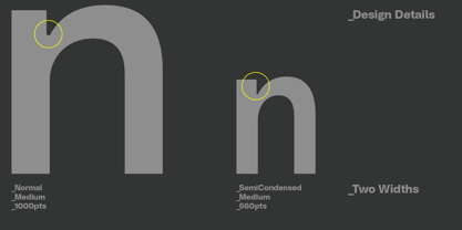 NeoGram Text Font Poster 6
