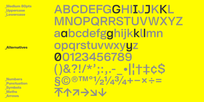NeoGram Text Font Poster 2