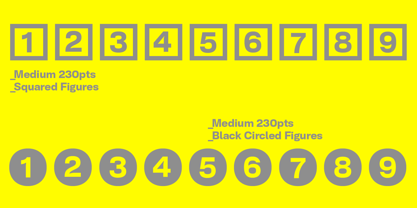 NeoGram Text Font Poster 7