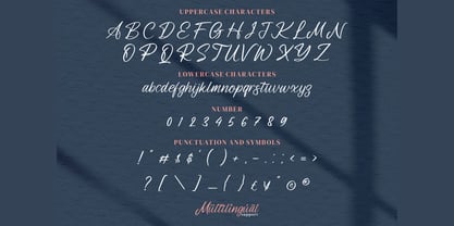 Leandro Daniel Font Poster 3