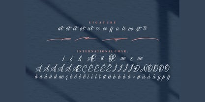 Leandro Daniel Font Poster 4