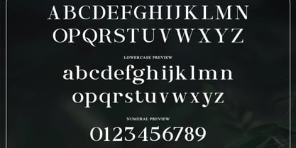 Ablimuan Font Poster 6