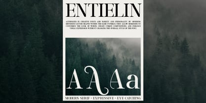 Ablimuan Font Poster 8