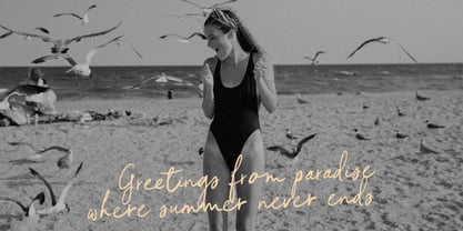 Golden Moonlight Font Poster 7
