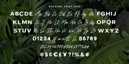 Ratsing Font Poster 6