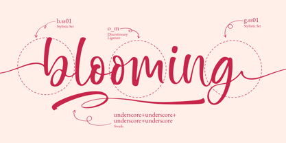 Lovelisse Font Poster 7