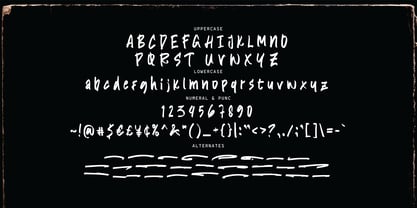 Thorpens Brush Font Poster 14