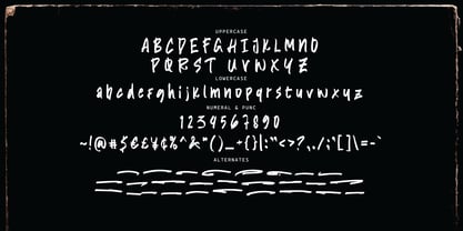 Thorpens Brush Font Poster 13