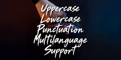 Wildest Metallo Brush Font Poster 8