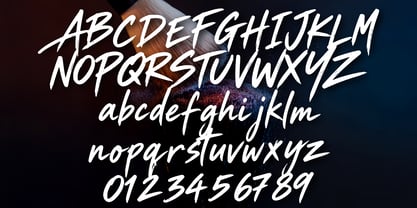 Wildest Metallo Brush Font Poster 9
