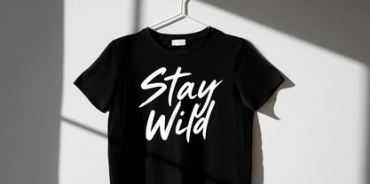 Wildest Metallo Brush Font Poster 7
