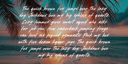 Wildest Metallo Brush Font Poster 4