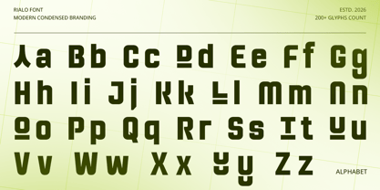 Rialo Font Poster 11