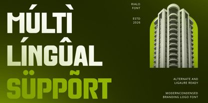 Rialo Font Poster 13