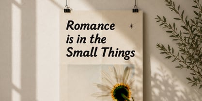 Connies Swetzarc Font Poster 5