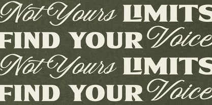 Norhaven Font Poster 4