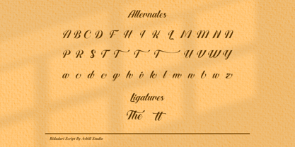 Bidadari Font Poster 7