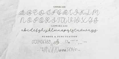 Gilded Lumiere Font Poster 11