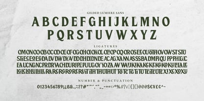 Gilded Lumiere Font Poster 12