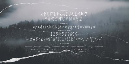 Aironative Brush Font Poster 10