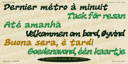 RT Wild Routine Font Poster 8