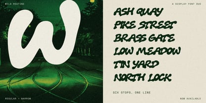 RT Wild Routine Font Poster 2